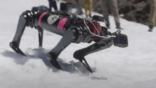 آزمایش سگ رباتیک برای سیاه نوردی