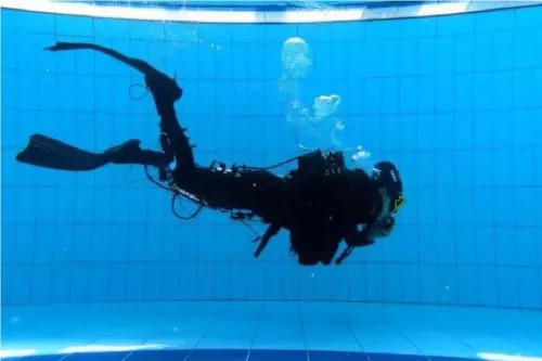 پیشگامی چین در صنعت رباتیک