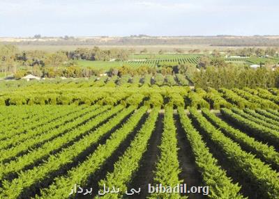 فراخوان تولید کودهای زیستی و ماندگار منتشر گردید