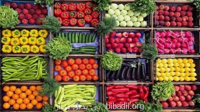 اجرای بیشتر از ۳۱ پروژه علمی برای ارتقای کیفیت غذا