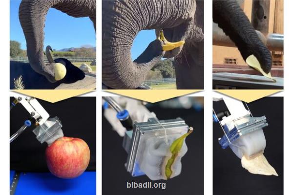 طراحی اولین دست رباتیکی با الهام از خرطوم فیل