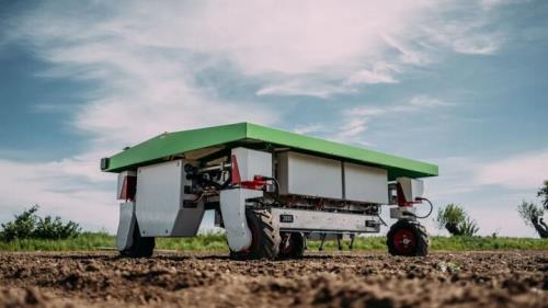 رباتی که مزرعه را از علف های هرز پاک می کند
