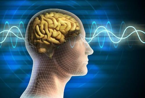 محققان تربیت مدرس دستگاه تحریک الکتریکی مغز و عضله ساختند