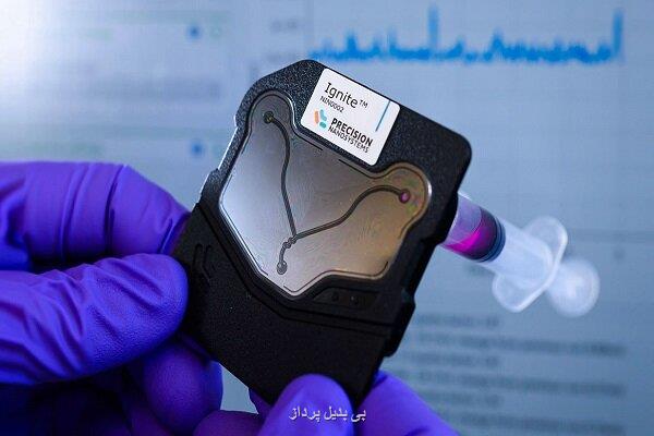 امید تازه در درمان سرطان تخمدان با فناوری نوین نانوذرات