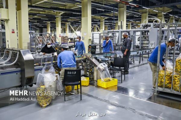 وجود ۱۷ هزار محصول دانش بنیان در کشور درآمد ۱۲۰۰ همتی شرکت ها در ۱۴۰۲