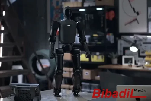 نخستین انسان نمای جیبی با قابلیت حمل در کوله پشتی