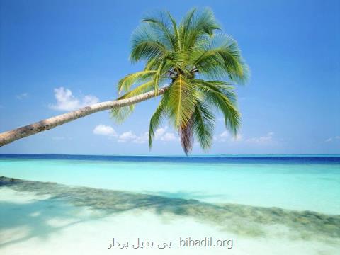 رزرو آنلاین تور كیش